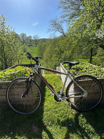 Simplon, Simplon Custom Shimano Deore XT