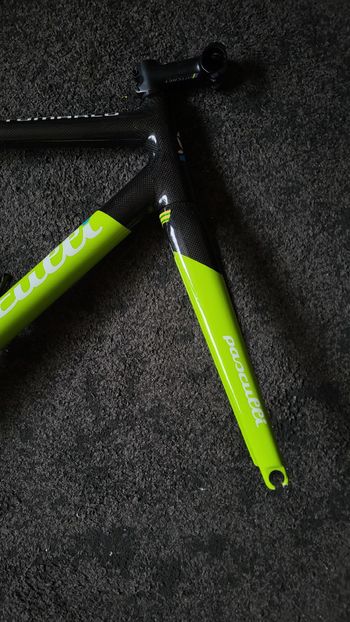 Used Pasculli Pasculli Custom Frameset 2016 Road & Gravel — image 9 of 20