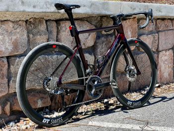 Swift, Racevox Factory Disc 2024