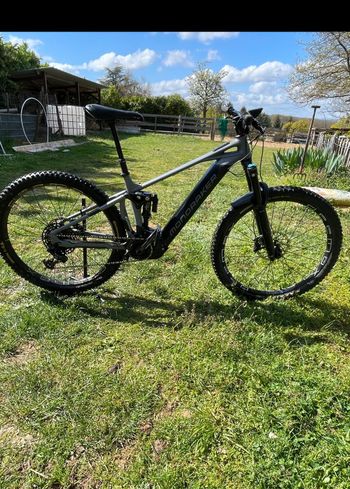 Mondraker, Crafty R 2024