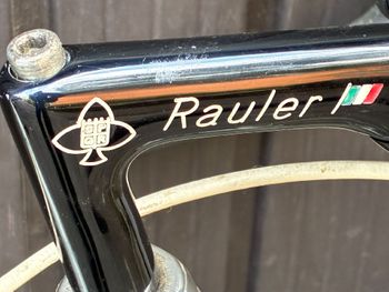 Used rauler Rauler Custom Campagnolo Super Record 1992 Road & Gravel — image 7 of 8