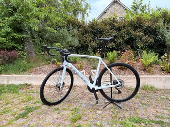 Trek, Emonda Shimano Ultegra Di2 (12 Speed)