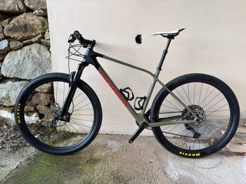 Orbea, ALMA M50 2024