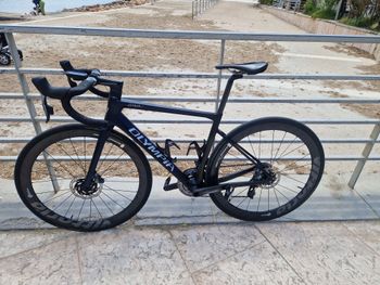 Used Olympia Olympia Leader 2022 Road & Gravel