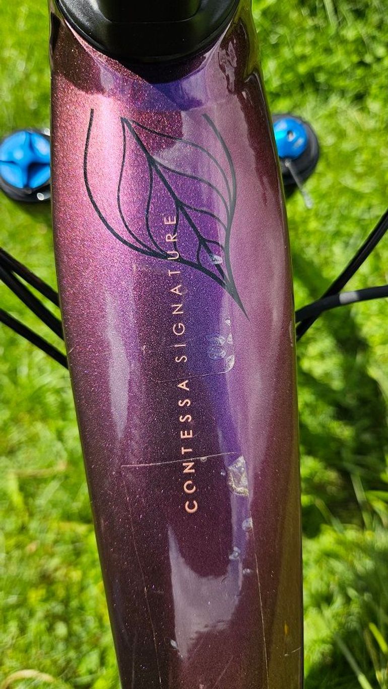 Used Scott Genius eride Shimano Deore XT 2020 Mountainbike, Purple — image 16 of 17