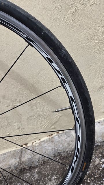 Used Bottecchia Custom Campagnolo Veloce 2018 Road & Gravel, White — image 6 of 6