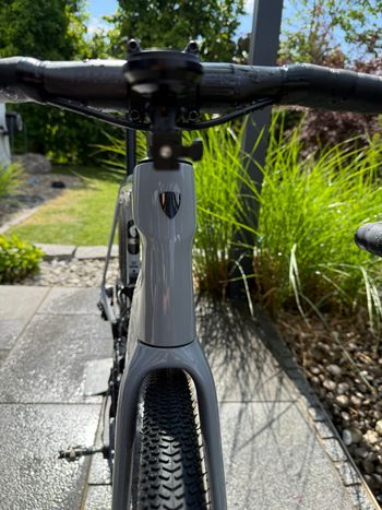 Used Trek Domane Frameset 2026 Road & Gravel, Light Gray — image 2 of 6