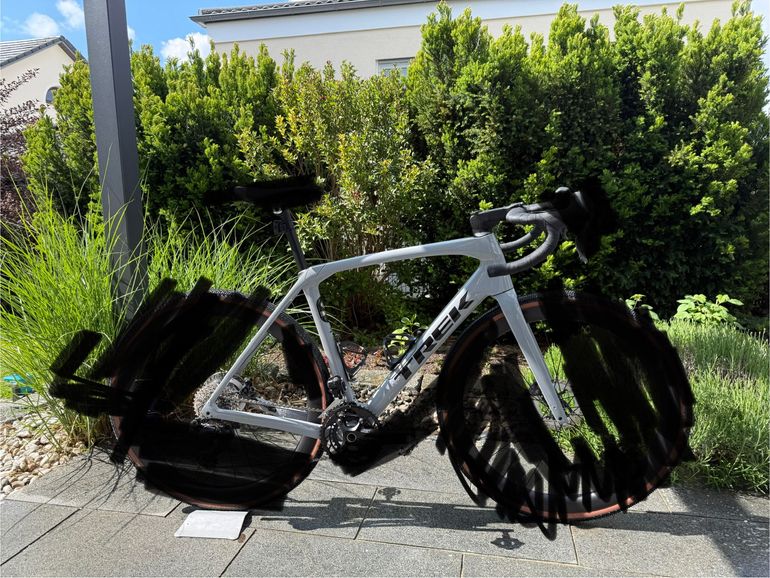 Used Trek Domane Frameset 2026 Road & Gravel, Light Gray — image 1 of 6