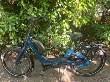 Gazelle, Gazelle Custom Shimano Alivio