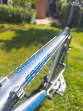 Used carrara Gravel - Cyclocross 2022 Road & Gravel, Light Gray — image 3 of 15