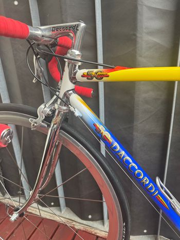 Used Daccordi Daccordi Custom Campagnolo Record 2000 Road & Gravel — image 10 of 15
