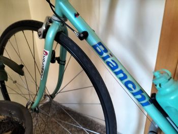 Bianchi, L'Eroica Campagnolo 2022