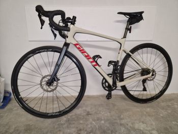 Giant, Revolt Advanced 2 2020