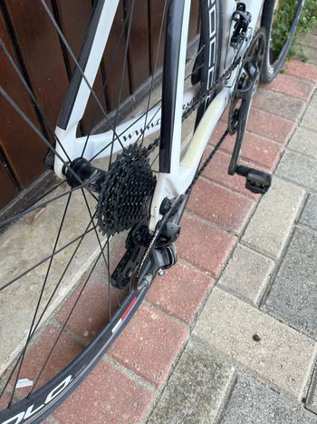 Used cavalera Cavalera Custom Campagnolo Athena 2020 Road & Gravel, Weiß — image 3 of 8