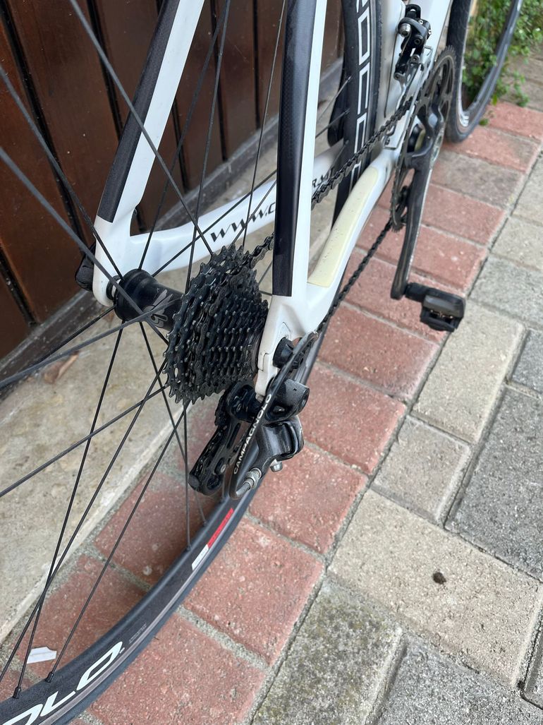 Used cavalera Cavalera Custom Campagnolo Athena 2020 Road & Gravel, Weiß — image 3 of 8