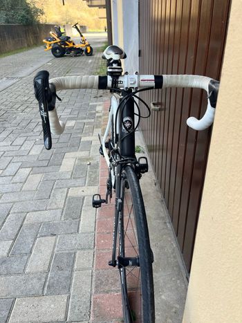 Used cavalera Cavalera Custom Campagnolo Athena 2020 Road & Gravel, Weiß — image 7 of 8