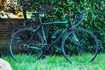 Bianchi, Via Nirone Sora 2017