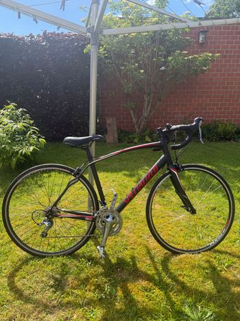 Specialized, Secteur Elite Double 2015