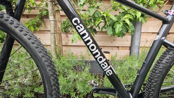 Used Cannondale Trail Shimano Deore 2021 Mountainbike, Black — image 9 of 12