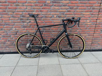 Canyon, Endurace AL Disc 7.0 2021