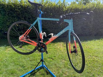 Trek, Émonda ALR 5 2024