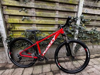 Ridley, Ridley Custom Shimano Deore
