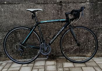 Bianchi, Via Nirone 7 Claris 2020