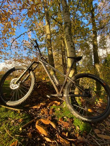 Brugt Canyon Stoic 2 2023 2023 MTB