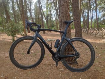 Used Pinarello Pinarello Dogma F Shimano Ultegra 105 2024 Road & Gravel, Black — image 3 of 7