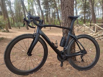Used Pinarello Pinarello Dogma F Shimano Ultegra 105 2024 Road & Gravel, Black — image 2 of 7