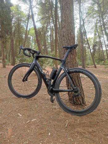 Used Pinarello Pinarello Dogma F Shimano Ultegra 105 2024 Road & Gravel, Black — image 4 of 7