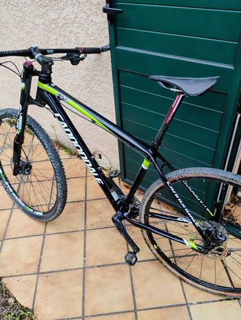 Cannondale, F 29