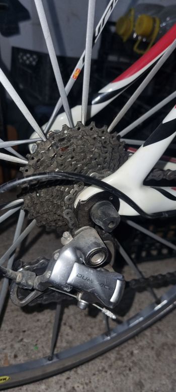 Used Cannondale Cannondale Synapse Carbon Dura-Ace FSA Ruote 2013 Road & Gravel — image 6 of 9