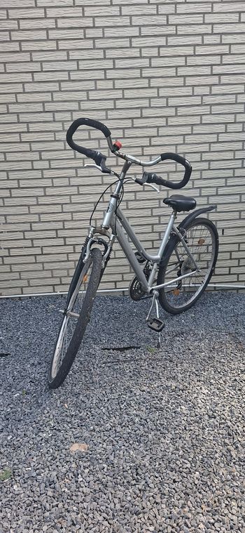 Used Ohne marke Ohne marke Custom 2015 Urban, Light Gray — image 2 of 4