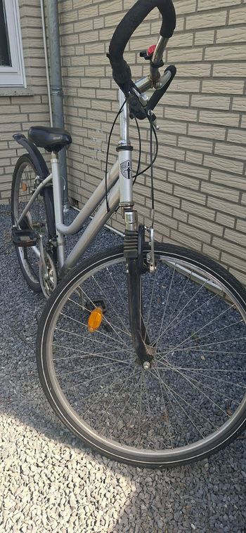 Used Ohne marke Ohne marke Custom 2015 Urban, Light Gray — image 3 of 4