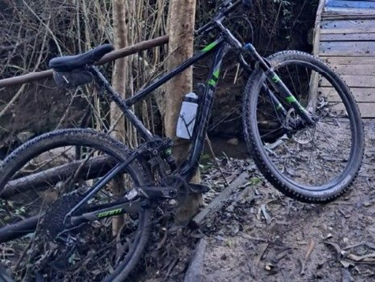 Used Giant Anthem 29 2 2019 2019 Mountainbike, Black, 29 — image 3 of 3