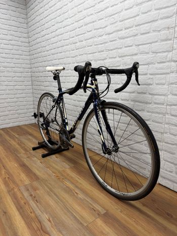 Used Specialized S-Works Roubaix SL Module 2008 2008 Road & Gravel, Blue — image 2 of 6