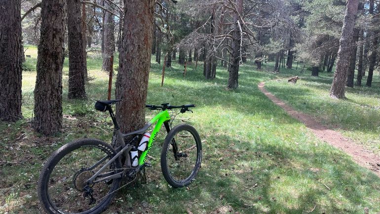 Used Cannondale Scalpel SRAM XX1 Eagle 2023 Mountainbike, Green — image 3 of 5