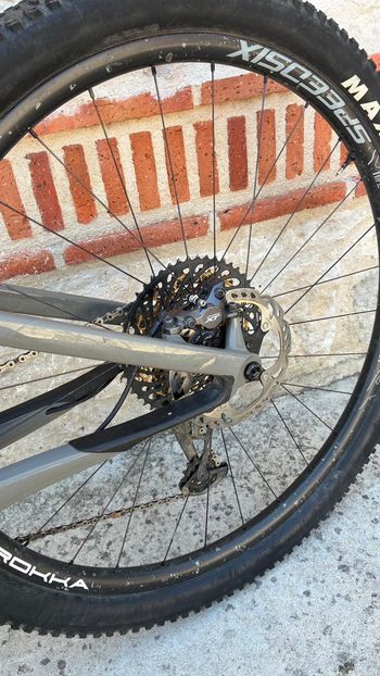 Used Cannondale Scalpel SRAM XX1 Eagle 2023 Mountainbike, Green — image 4 of 7
