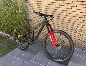 Vitus, Mythique 29 VRX Mountain 2021