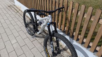 Used Canyon Spectral 29 AL 5 2023 2023 Mountainbike, Black, 29 — image 4 of 9