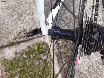 Used Ideal Onroad 2017 Road & Gravel — image 3 of 6