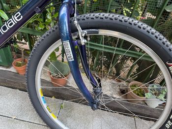 Used Cannondale M2000 1995 Mountainbike, Purple — image 18 of 29