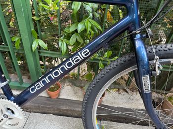 Used Cannondale M2000 1995 Mountainbike, Purple — image 3 of 29