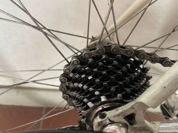 Käytetty SCAPIN KS Campagnolo Chorus 2001 Road & Gravel — kuva 10 / 11