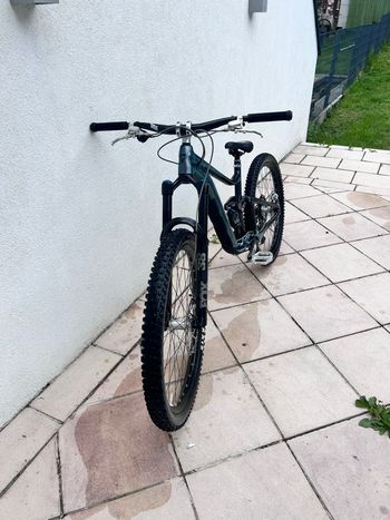 Giant, Reign 1 2024