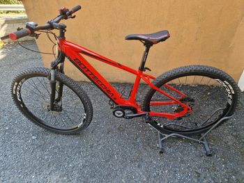 Bottecchia, BE32 EVO START 29 2021