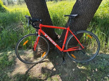 Używany Trek Domane AL 2 2021 2021 Road & Gravel — zdjęcie 1 z 5