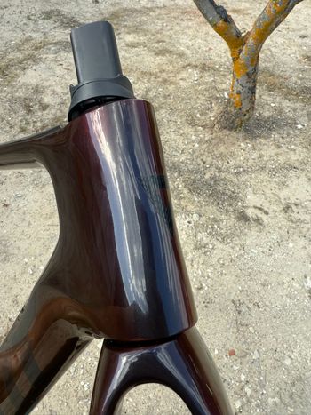 Used Giant Propel Frameset 2025 Road & Gravel, Red — image 12 of 19