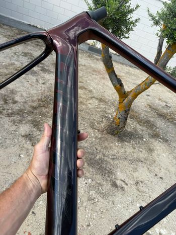 Used Giant Propel Frameset 2025 Road & Gravel, Red — image 19 of 19